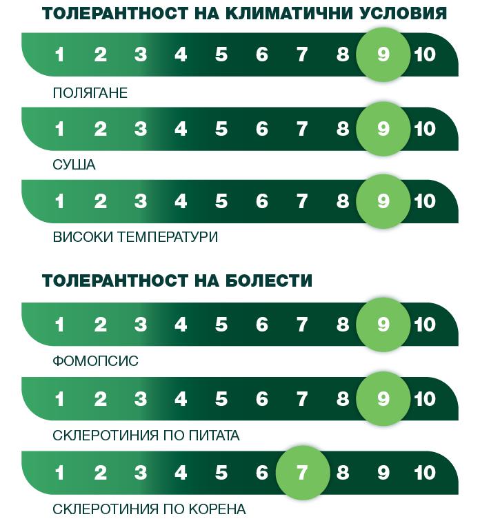 syngenta_2025_sun_tolerantnost_17_si_bakardi_clp