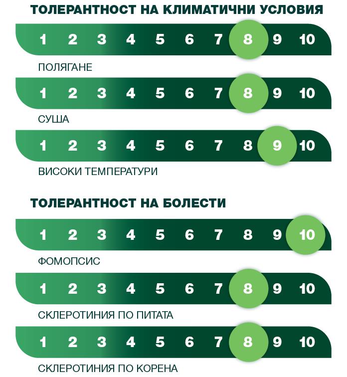 syngenta_2025_sun_tolerantnost_19_si_diego_clp