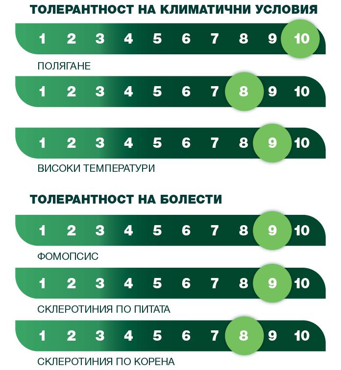syngenta_2025_sun_tolerantnost_20_si_eksperto