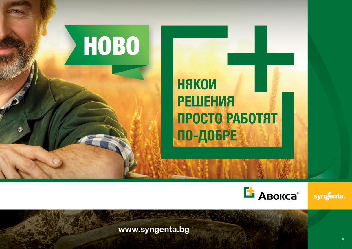 Авокса