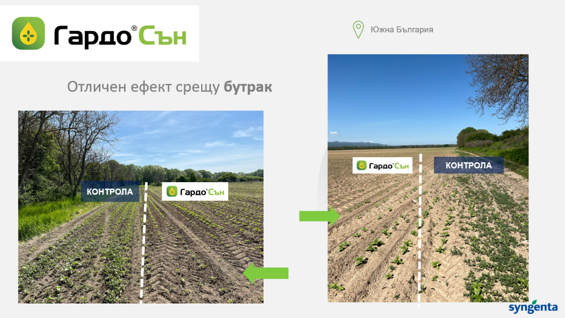 Отличен ефект срещу бутрак 