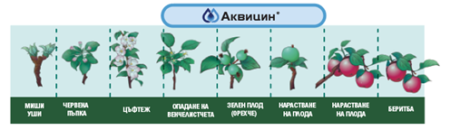 akvicin-1