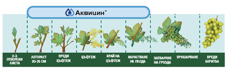 akvicin-2