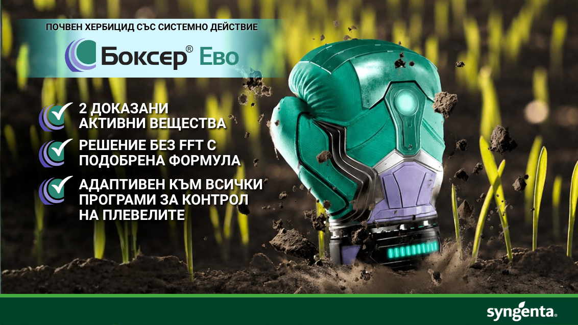 Бокеср ево 