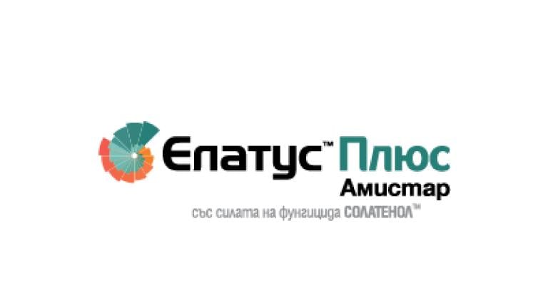 Елатус Плюс Амистар