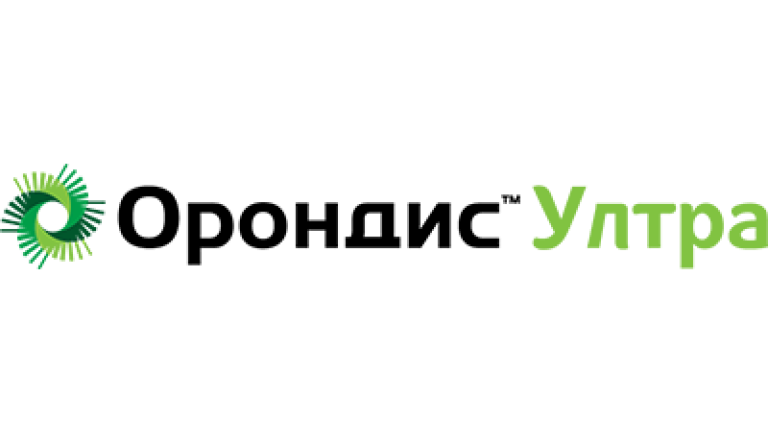 орондис лого