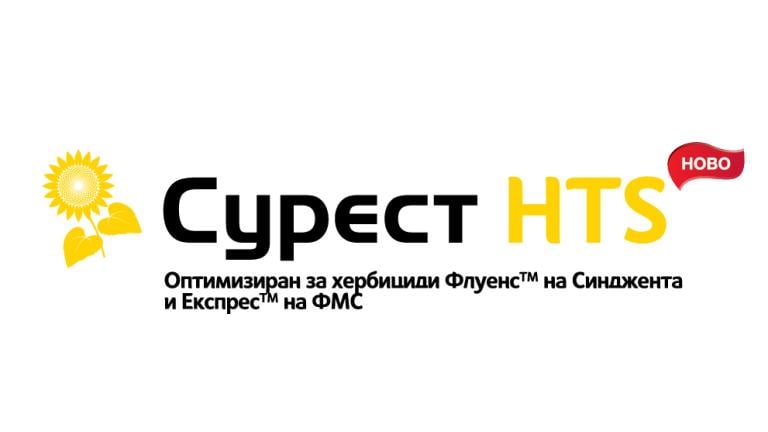 Сурест