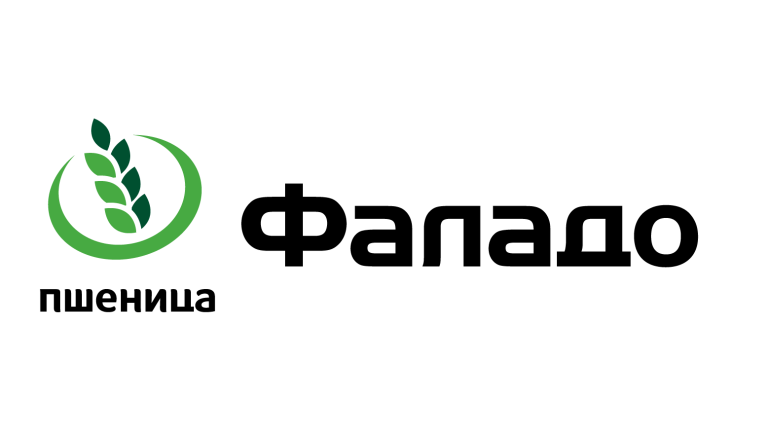 falado_logo.jpg